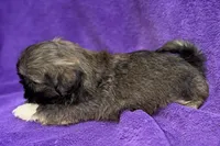 processed/0b0910b8-35b4-49c7-979a-420dd59cbc3e/listing/bd5ff33b-757f-4a57-8ac6-a051d0cea525/043d0f64-0b26-4bef-bd14-0e1250e175f7