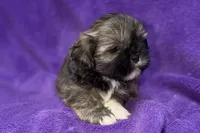 processed/0b0910b8-35b4-49c7-979a-420dd59cbc3e/listing/bd5ff33b-757f-4a57-8ac6-a051d0cea525/0c7a7ace-96da-48a4-8972-f36f76564add