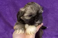 processed/0b0910b8-35b4-49c7-979a-420dd59cbc3e/listing/bd5ff33b-757f-4a57-8ac6-a051d0cea525/4c804adc-9e9b-4561-b569-7c680fd5d2e5