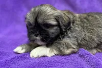 processed/0b0910b8-35b4-49c7-979a-420dd59cbc3e/listing/bd5ff33b-757f-4a57-8ac6-a051d0cea525/dd597d0a-ad7d-4bcf-b1f8-146ff3cbf4d0