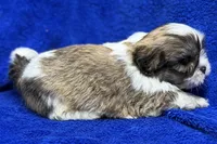 processed/0b0910b8-35b4-49c7-979a-420dd59cbc3e/listing/c809b297-450e-4f9a-b000-49df5c681ef6/44334b47-7369-4127-a4ce-ede336474120