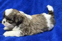 processed/0b0910b8-35b4-49c7-979a-420dd59cbc3e/listing/c809b297-450e-4f9a-b000-49df5c681ef6/446ff81e-a9be-4dcc-9897-eeb0a6c76346