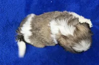 processed/0b0910b8-35b4-49c7-979a-420dd59cbc3e/listing/c809b297-450e-4f9a-b000-49df5c681ef6/863b5f74-579a-496b-990c-bde533187854