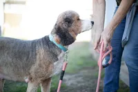 processed/0b165700-e3c9-436b-9d11-5948e0913892/listing/5f6c3f81-0b3f-4da9-b187-9abe982555d5/00c60fa7-1209-4457-8857-fc012cea5203