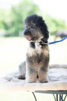 processed/0b165700-e3c9-436b-9d11-5948e0913892/listing/5f6c3f81-0b3f-4da9-b187-9abe982555d5/68a3d3e0-18c8-44c8-821f-ca5f0f039005