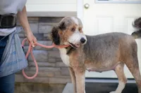 processed/0b165700-e3c9-436b-9d11-5948e0913892/listing/5f6c3f81-0b3f-4da9-b187-9abe982555d5/892b9abd-70a8-459d-96b4-20f2dcb47030