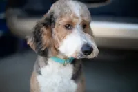 processed/0b165700-e3c9-436b-9d11-5948e0913892/listing/5f6c3f81-0b3f-4da9-b187-9abe982555d5/decfe584-5b70-43ac-9469-1dc7d59ebb17