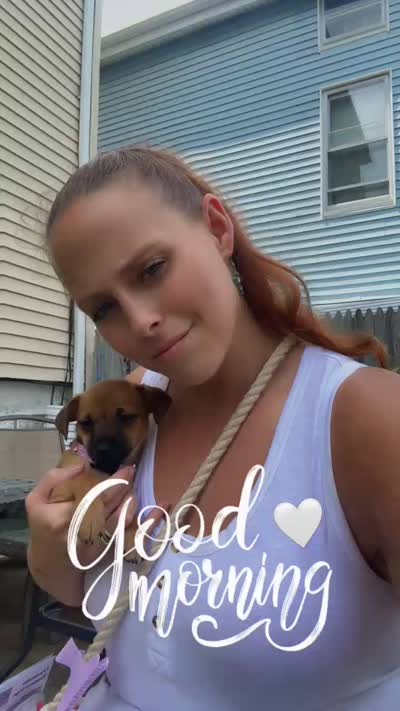Brownie , a female Miniature Pinscher for sale in Fall River, MA – 6 of 6