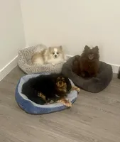 Facility photo