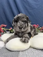 processed/0b405358-dd8b-43f3-b27d-49e154884c4f/facility/1b1f7219-009d-4a7f-a29f-d1b2bb4a40ba