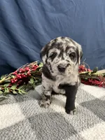 processed/0b405358-dd8b-43f3-b27d-49e154884c4f/facility/48a51263-c4d4-4c46-bed3-f0e8e34d6505