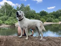 processed/0b405358-dd8b-43f3-b27d-49e154884c4f/facility/c061f6cd-39b3-4457-9588-5a5930b380c2