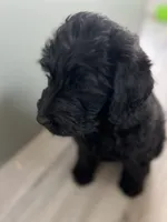 processed/0b405358-dd8b-43f3-b27d-49e154884c4f/listing/448bfbe8-291e-44d0-8149-c6d44514ca25/06de2438-b7bf-4a8c-aff4-16fbb848782b