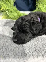 processed/0b405358-dd8b-43f3-b27d-49e154884c4f/listing/448bfbe8-291e-44d0-8149-c6d44514ca25/07170a6f-896f-41a5-8385-55fb39f45495