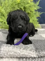 processed/0b405358-dd8b-43f3-b27d-49e154884c4f/listing/448bfbe8-291e-44d0-8149-c6d44514ca25/294c08e3-9560-4365-8144-f9eac8ac22a7