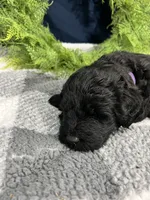 processed/0b405358-dd8b-43f3-b27d-49e154884c4f/listing/448bfbe8-291e-44d0-8149-c6d44514ca25/38282513-9892-4375-8e9b-7058f5fbb3b9