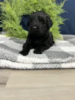 processed/0b405358-dd8b-43f3-b27d-49e154884c4f/listing/448bfbe8-291e-44d0-8149-c6d44514ca25/ceb325ba-7289-4f3c-84f3-0901a4ebb53f