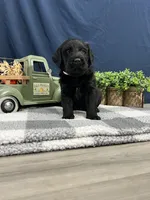 processed/0b405358-dd8b-43f3-b27d-49e154884c4f/listing/64f74199-46fd-4752-92cb-12029105f70d/0e0ad8b7-a7bd-47ba-8fd6-2eb59aba4de6