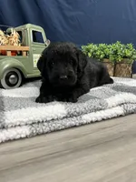 processed/0b405358-dd8b-43f3-b27d-49e154884c4f/listing/64f74199-46fd-4752-92cb-12029105f70d/164e79b7-32cb-407d-af6c-c038a931db46