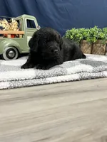 processed/0b405358-dd8b-43f3-b27d-49e154884c4f/listing/64f74199-46fd-4752-92cb-12029105f70d/55593142-dd3f-44ac-8bcf-28fd01d6d098