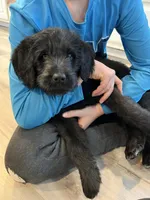 processed/0b405358-dd8b-43f3-b27d-49e154884c4f/listing/64f74199-46fd-4752-92cb-12029105f70d/d8914e13-f778-4b3e-92b8-f13222fc46dc