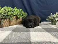 processed/0b405358-dd8b-43f3-b27d-49e154884c4f/listing/9efdbfbd-84e7-434d-ba90-96a79b26b534/216157b7-18be-466a-a893-82cb30839412