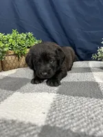 processed/0b405358-dd8b-43f3-b27d-49e154884c4f/listing/9efdbfbd-84e7-434d-ba90-96a79b26b534/388eb86d-f980-4e71-ad25-8a40c64d07b4