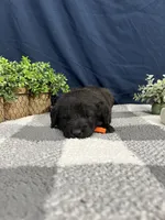 processed/0b405358-dd8b-43f3-b27d-49e154884c4f/listing/9efdbfbd-84e7-434d-ba90-96a79b26b534/a838d620-8154-44ca-8507-80b9344bbe64