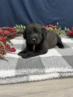 processed/0b405358-dd8b-43f3-b27d-49e154884c4f/listing/9efdbfbd-84e7-434d-ba90-96a79b26b534/aec1cedd-73ab-4533-bbb9-08afd3d7bbce