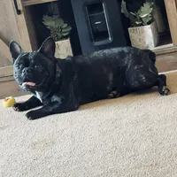 processed/0b57c31b-7715-4883-a514-6d2c83e544a2/facility/a0837816-02e4-4f76-9da1-20b8a5205e6d