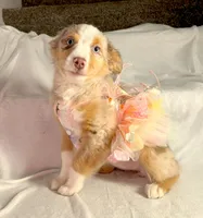 processed/0b5cd11b-cbff-4258-b9fa-bc0ffd203a66/listing/5a71b78c-1aa0-4c8b-98c6-605ea2c67787/34066ae5-f06d-4f5b-bb2f-39ecf58d4063