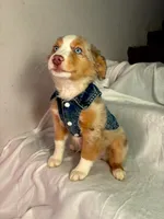 processed/0b5cd11b-cbff-4258-b9fa-bc0ffd203a66/listing/5a71b78c-1aa0-4c8b-98c6-605ea2c67787/54956656-741a-418b-9f9b-459395b99861