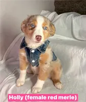 processed/0b5cd11b-cbff-4258-b9fa-bc0ffd203a66/listing/5a71b78c-1aa0-4c8b-98c6-605ea2c67787/82658601-0254-4929-941f-2051e12ada46