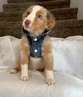 processed/0b5cd11b-cbff-4258-b9fa-bc0ffd203a66/listing/5a71b78c-1aa0-4c8b-98c6-605ea2c67787/8538707c-907f-42b2-a182-a97b5c376431