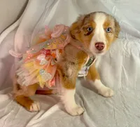 processed/0b5cd11b-cbff-4258-b9fa-bc0ffd203a66/listing/5a71b78c-1aa0-4c8b-98c6-605ea2c67787/929b4c07-1ac8-4626-a961-3c3e2feb6468