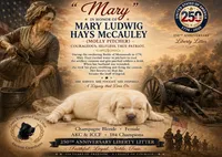 "Mary", a female Cane Corso for sale in Glasgow, KY – 4 of 4