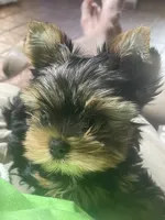 processed/0b62cd5b-2b7e-442d-935a-35fd99ba0afd/listing/a573fa90-bca8-49a3-9548-3cc62c3790f3/0c4a070e-77fa-4e11-ad20-6820d0621e8b