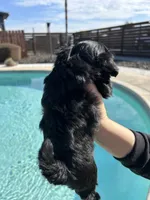 processed/0b63891f-98a7-4f5c-be96-6ff4bf2bc36c/listing/b3672abc-b572-4576-90f8-ec79c1579d03/068fd987-4a2f-4934-9a24-4730db3a87e9