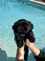 processed/0b63891f-98a7-4f5c-be96-6ff4bf2bc36c/listing/b3672abc-b572-4576-90f8-ec79c1579d03/423f1422-a45f-4fa8-9d36-24433559c61a