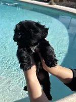 processed/0b63891f-98a7-4f5c-be96-6ff4bf2bc36c/listing/b3672abc-b572-4576-90f8-ec79c1579d03/4b846088-b2d2-45b4-95ed-5f0ca801e589