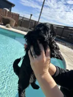 processed/0b63891f-98a7-4f5c-be96-6ff4bf2bc36c/listing/b3672abc-b572-4576-90f8-ec79c1579d03/993b179c-9b2a-49ec-a5ed-50a10103ed96