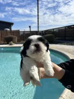 processed/0b63891f-98a7-4f5c-be96-6ff4bf2bc36c/listing/cf306ed0-470b-42a5-889e-2903e2d90da0/2ffece9b-8a22-4254-879b-fc90fbf57cf7