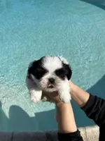 processed/0b63891f-98a7-4f5c-be96-6ff4bf2bc36c/listing/cf306ed0-470b-42a5-889e-2903e2d90da0/87bb3df3-21dc-4121-8718-92d8804b9fd7