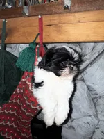 processed/0b63891f-98a7-4f5c-be96-6ff4bf2bc36c/listing/cf306ed0-470b-42a5-889e-2903e2d90da0/d9bda320-21aa-4038-a9f4-2634bbea602b