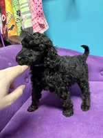 processed/0b69922c-1db5-497b-88ed-8ae134a93f30/listing/99fe9d86-c62c-4599-938f-f540106087bd/e5891712-0b86-4571-81d2-f031472e4629