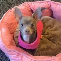 processed/0b6997fb-5a23-4977-9d74-a253960d6547/facility/1398e1c6-ce14-4c68-9a96-ce62e0fd02c7