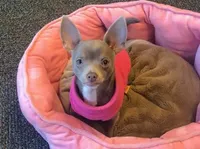 processed/0b6997fb-5a23-4977-9d74-a253960d6547/facility/1398e1c6-ce14-4c68-9a96-ce62e0fd02c7