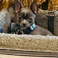 processed/0b6997fb-5a23-4977-9d74-a253960d6547/facility/6b007438-2089-4aa3-a02f-ec0fe738bb26