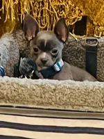 processed/0b6997fb-5a23-4977-9d74-a253960d6547/facility/6b007438-2089-4aa3-a02f-ec0fe738bb26