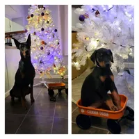 processed/0b6997fb-5a23-4977-9d74-a253960d6547/facility/829a6f64-b9a0-4ca8-9073-99097f4dc2d2